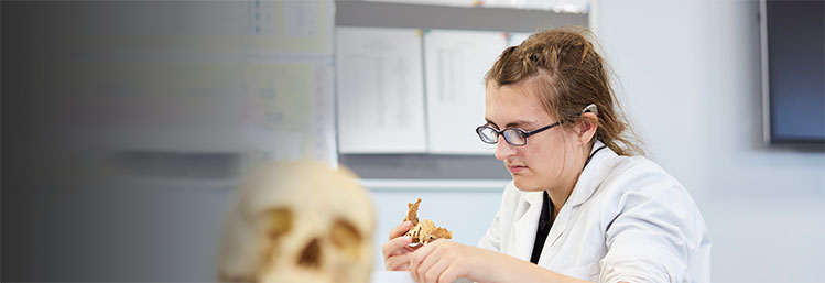 <br />
<b>Notice</b>:  Undefined variable: image_alt in <b>/web/terminalfour/htdocs/courses/pg/human-osteology-and-palaeopathology/index.php</b> on line <b>754</b><br />
