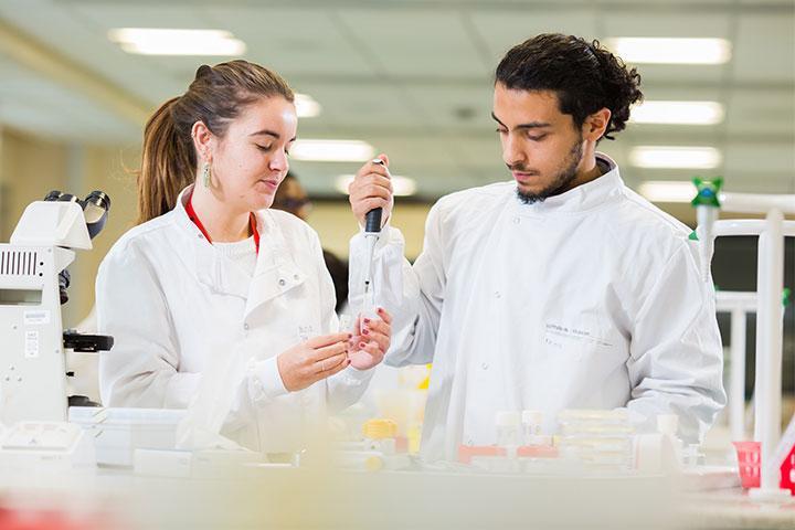 Two biomedical science students undertaking an experiment together.