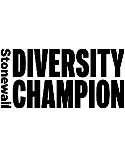 Stonewall diversity champion logo