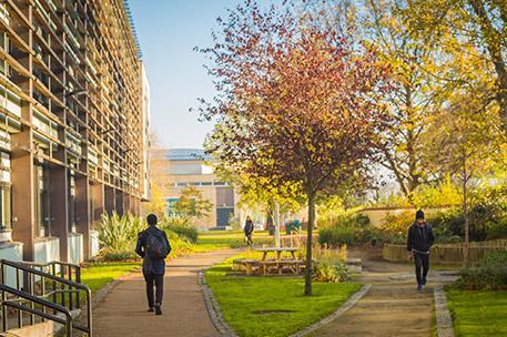 A student walking through the peace garden in autrmn