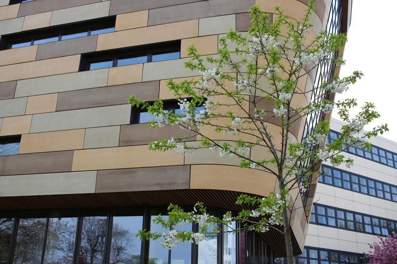 The exterior of our Health Studies building