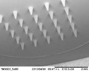 Image of the microneedles