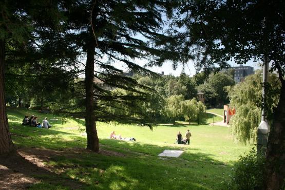 The amp on the University of Bradford campus