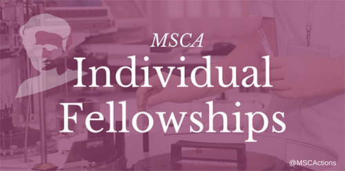 Marie Curie Individual Fellowship logo
