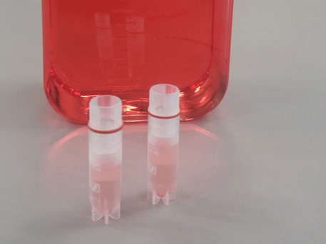 Bottle of cell culture medium and two vials containing isolated cells. 