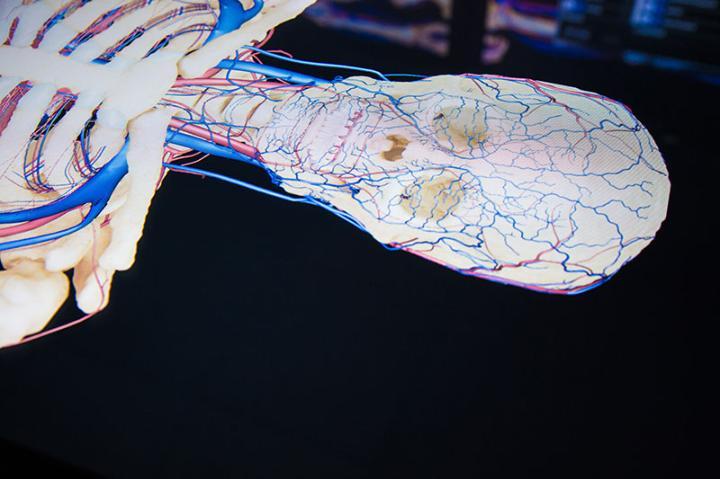 Clinical Sciences Anatomage Table