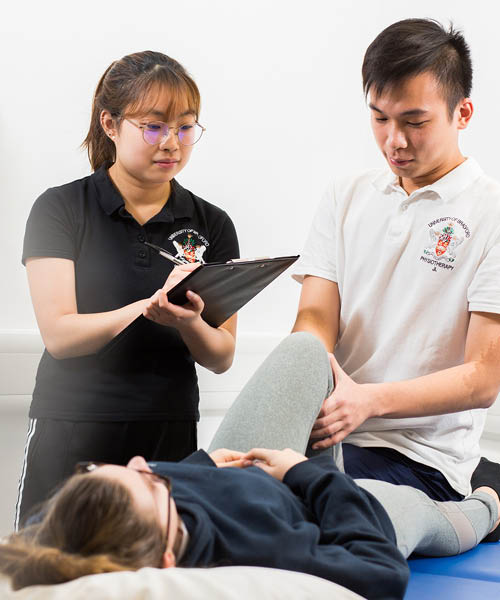 Physiotherapy and Sports Rehabilitation Clinic in action