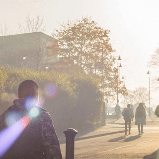 Campus on an autumn day.
